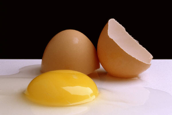 houdbaarheid van eieren